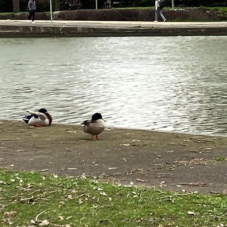 Appartement Sur Et Garage Au Stade De France A 2 Mn De Paris, 20 De Roissy Cdg Et 30 De La Defense Animaux Bienvenus サン＝ドニ エクステリア 写真